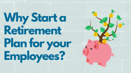 Why Start a 401k Plan for Your Employees?