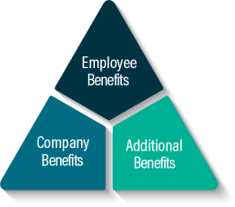 Beneco Medical Benefits